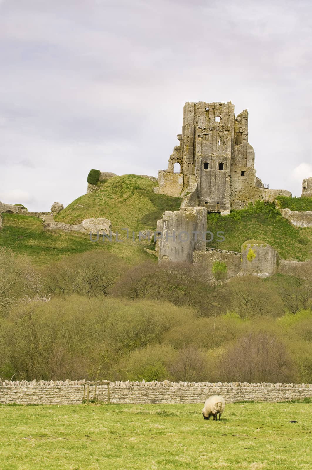 hilltop ruins of Corfe Castle in Dorset, England