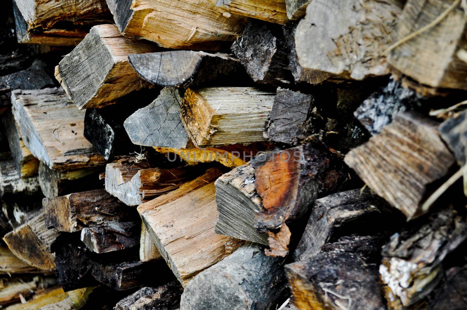 Wood Pile by RefocusPhoto