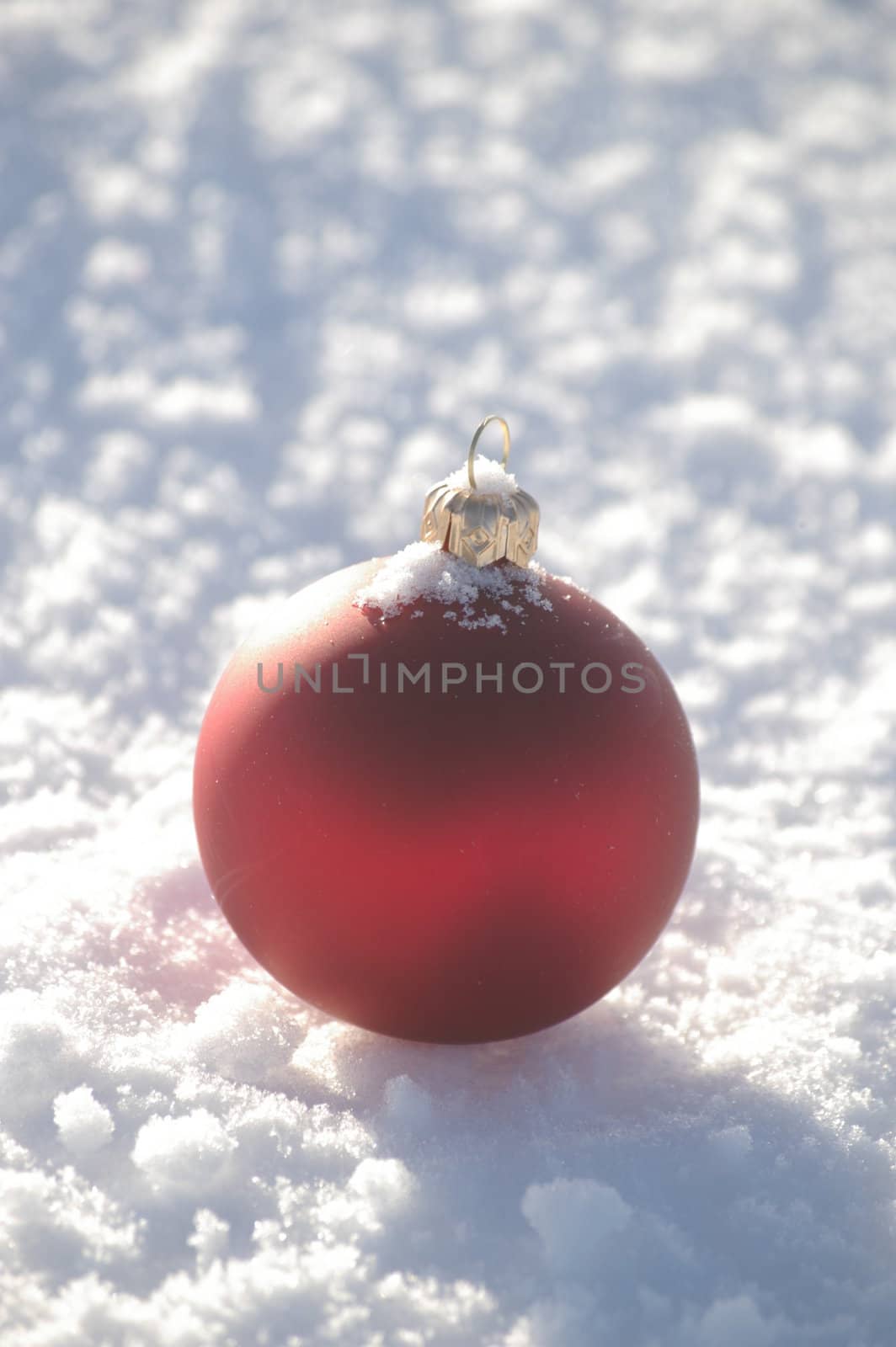 a red bauble in snowy landscape at winter