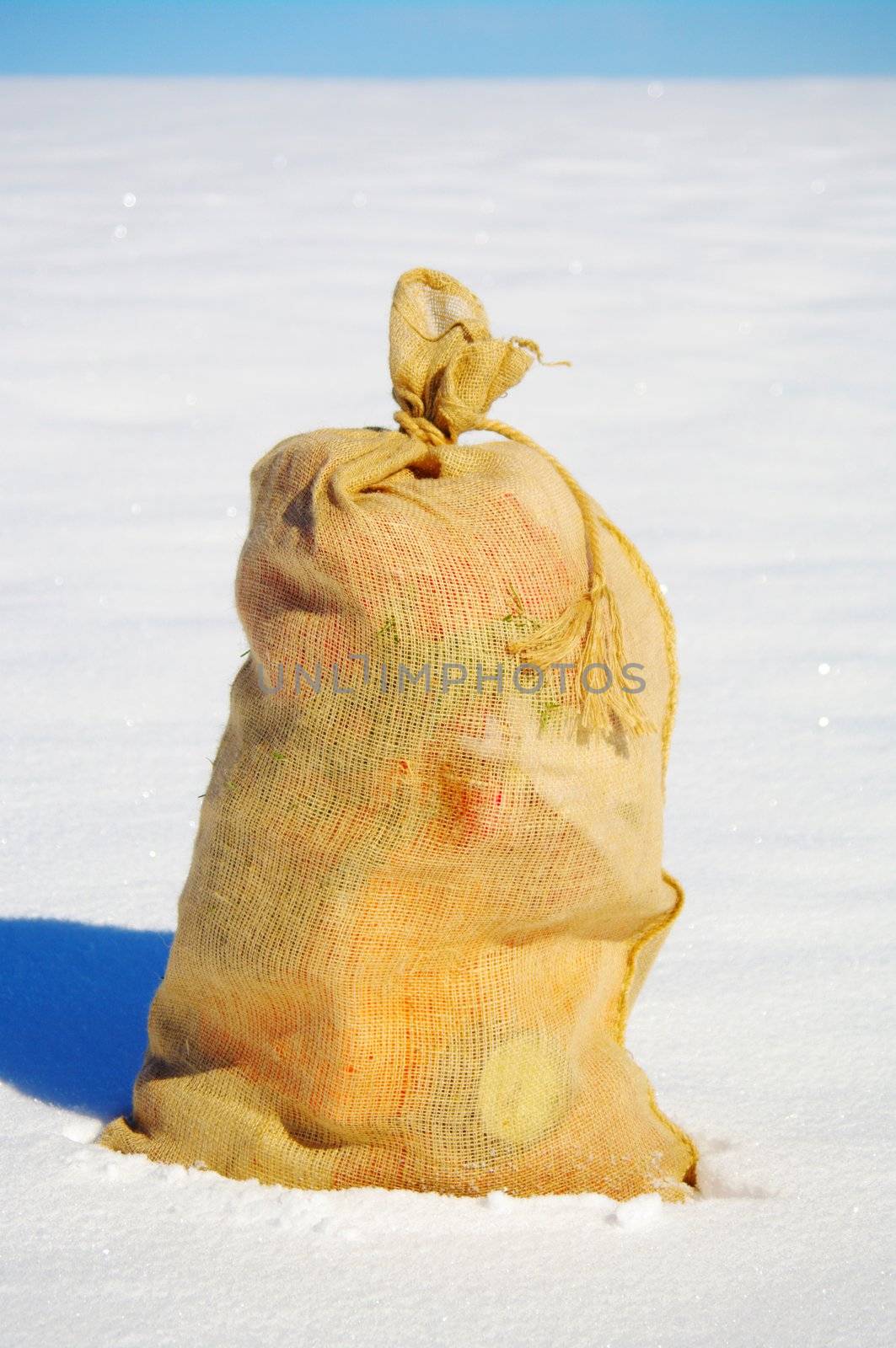A bag from Santa Claus in a snowy landscape