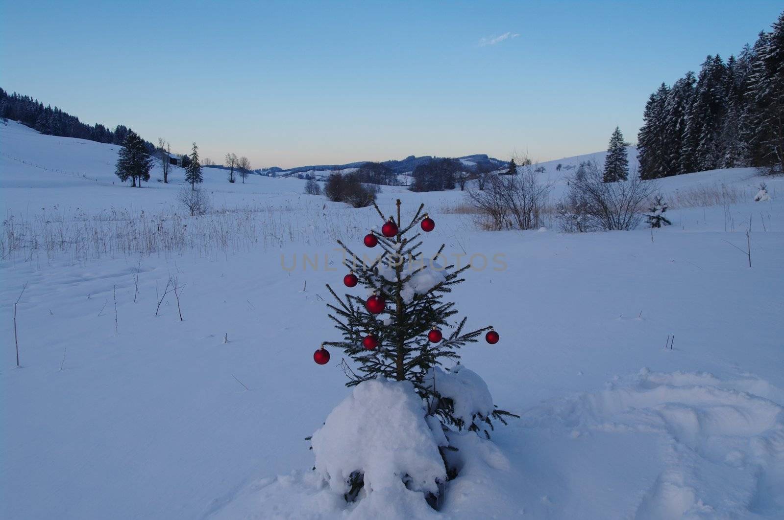 baubles  on a Christmas tree outside in a snowy landscape