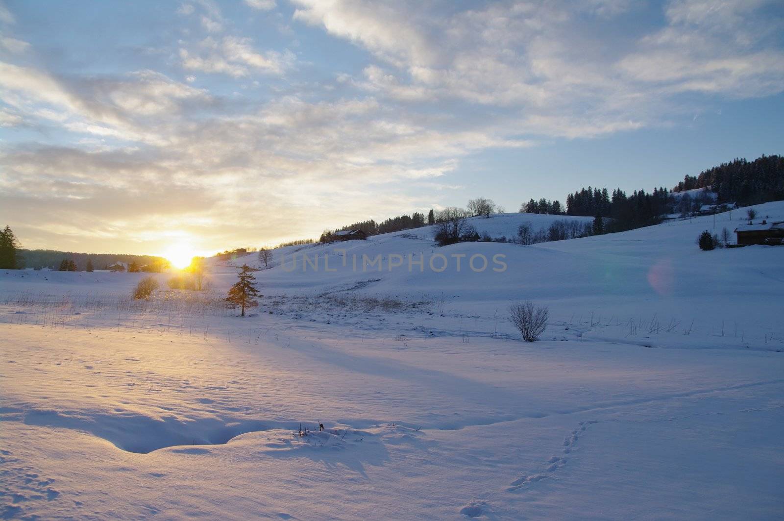 beautiful snowy winter landscape at Christmas time...