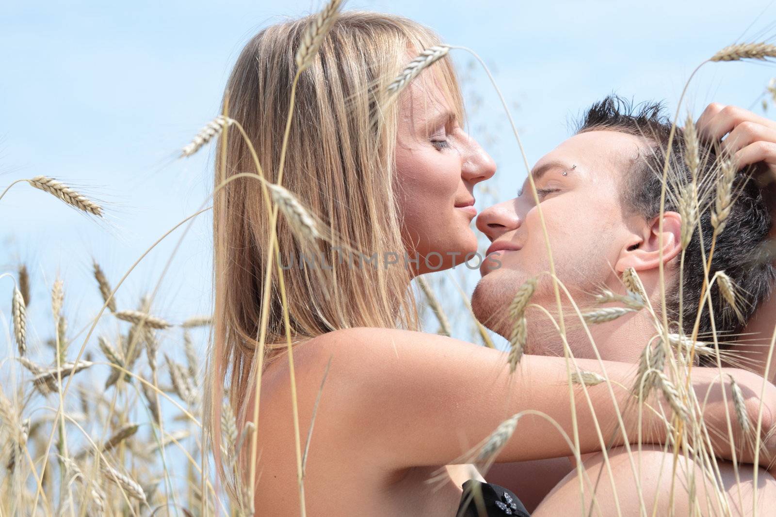 A beautiful couple sitting an kissing in wheat field
