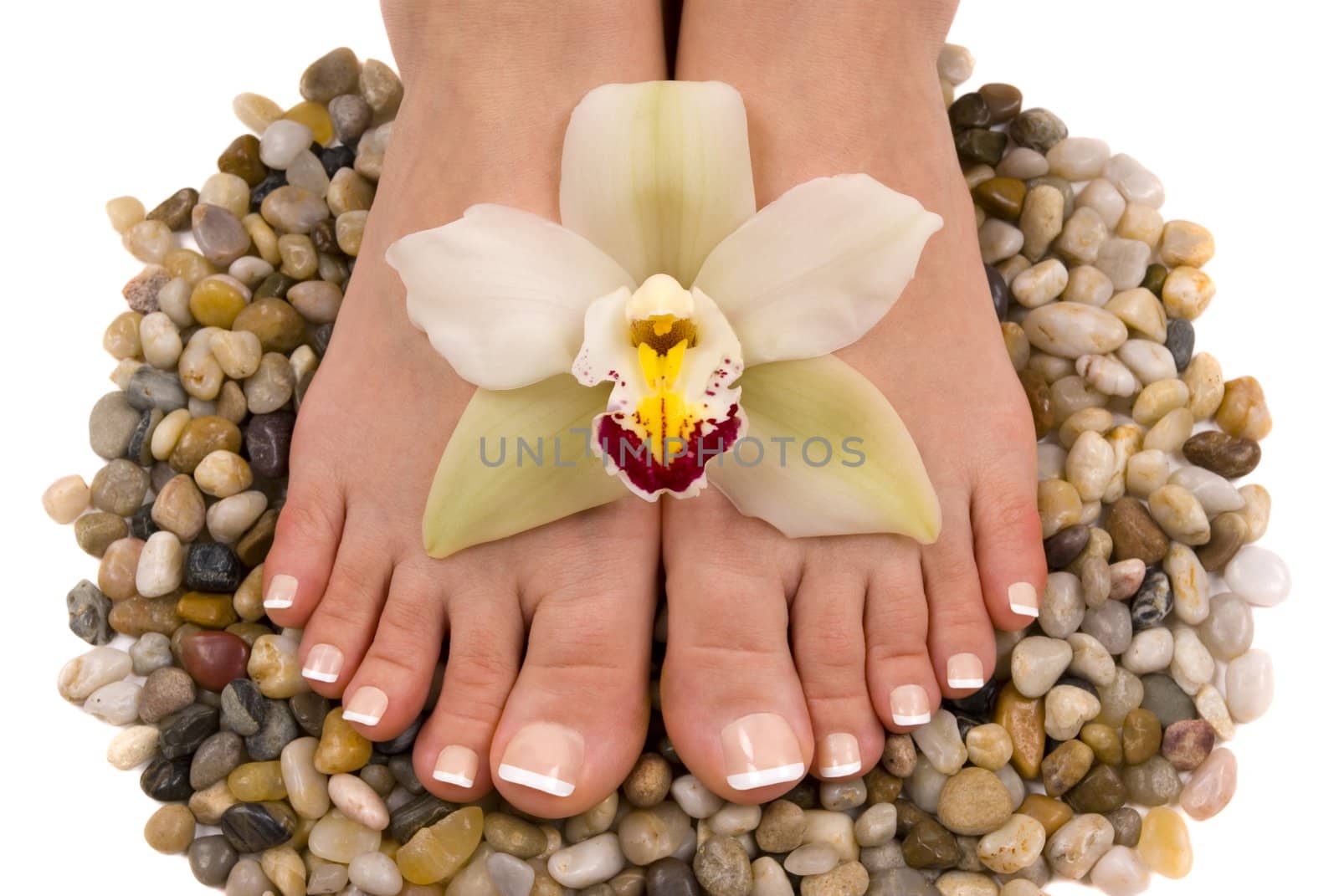 Pedicured feet with beautiful fresh orchid on pebbles