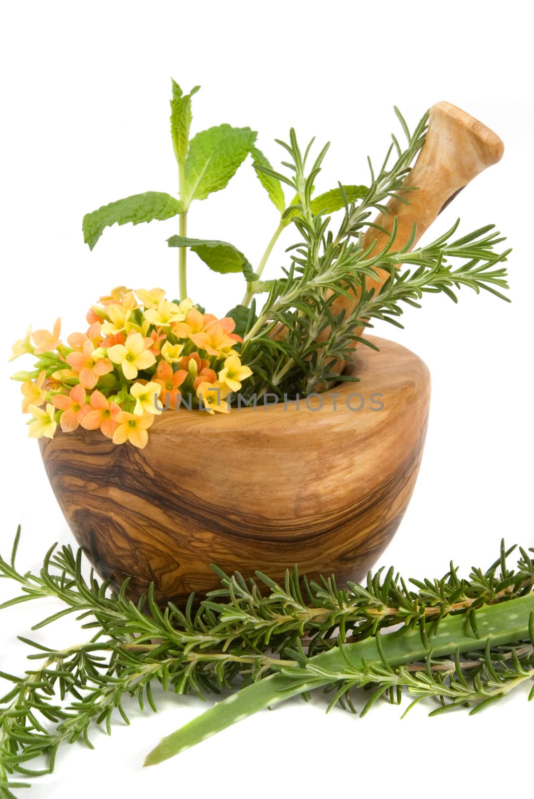 Healthy aromatic herbs in a spa (mint, rosemary, aloe vera in a carved olive tree mortar and pestle