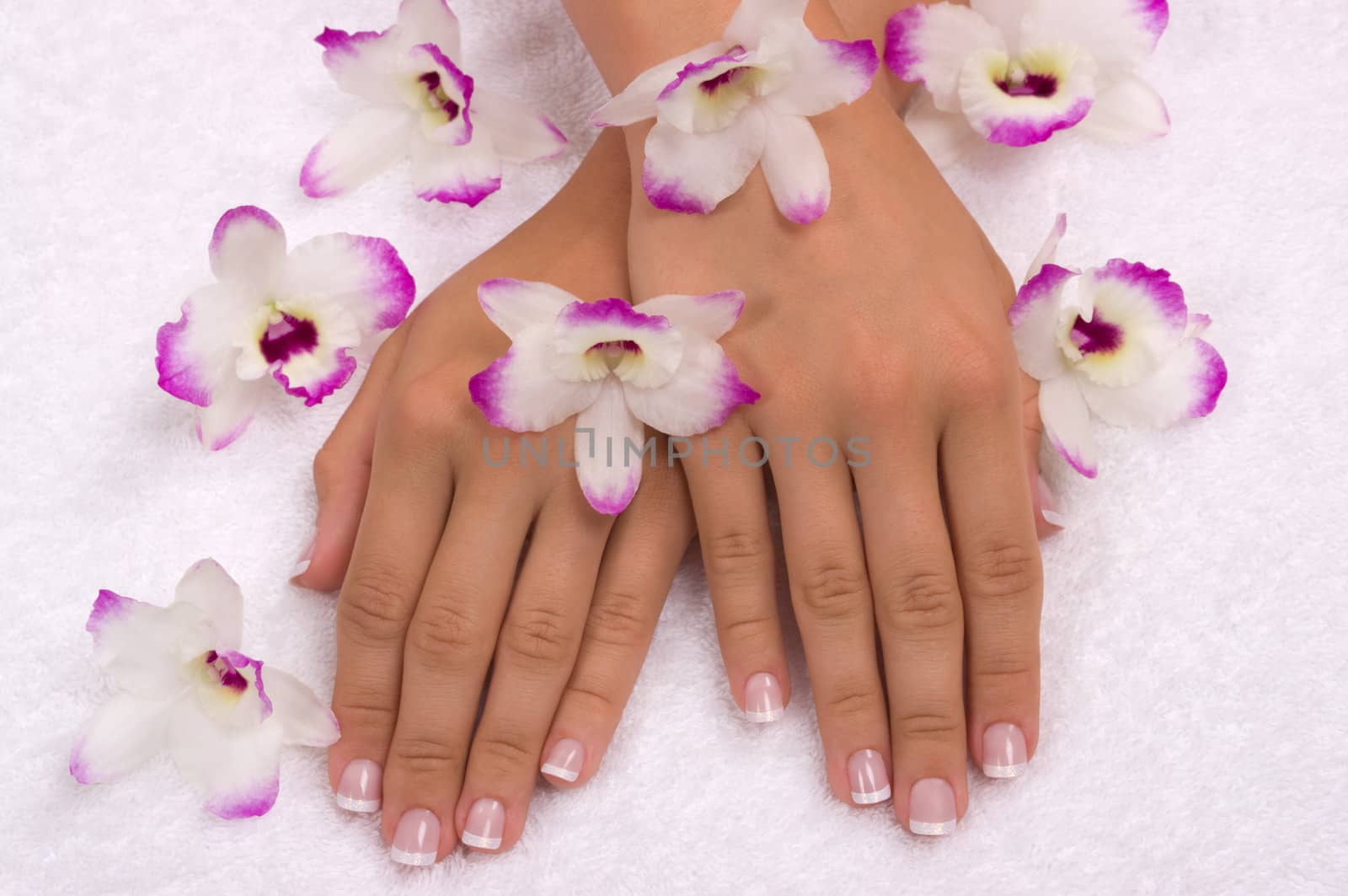 Spa with elegant orchids