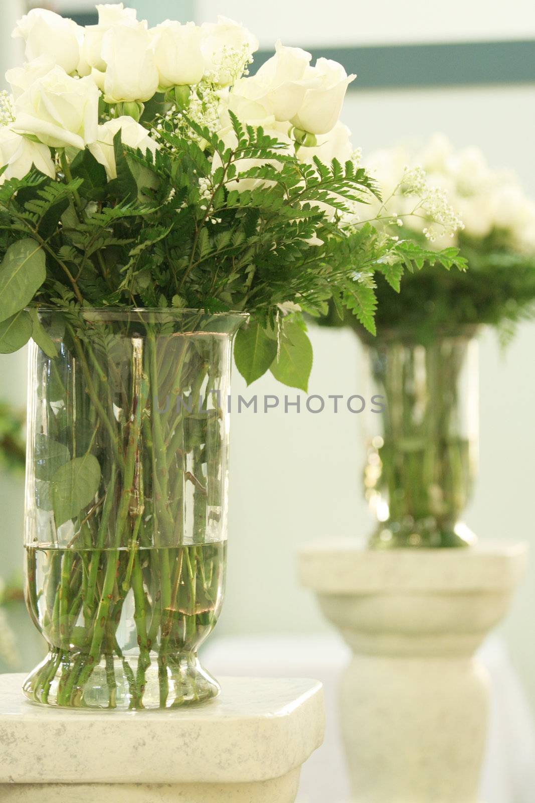Elegant white roses in vase by jarenwicklund