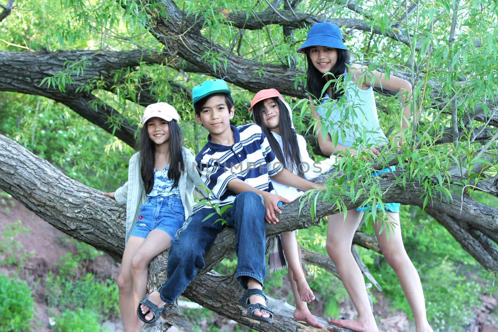 Kids climbing in tree by jarenwicklund