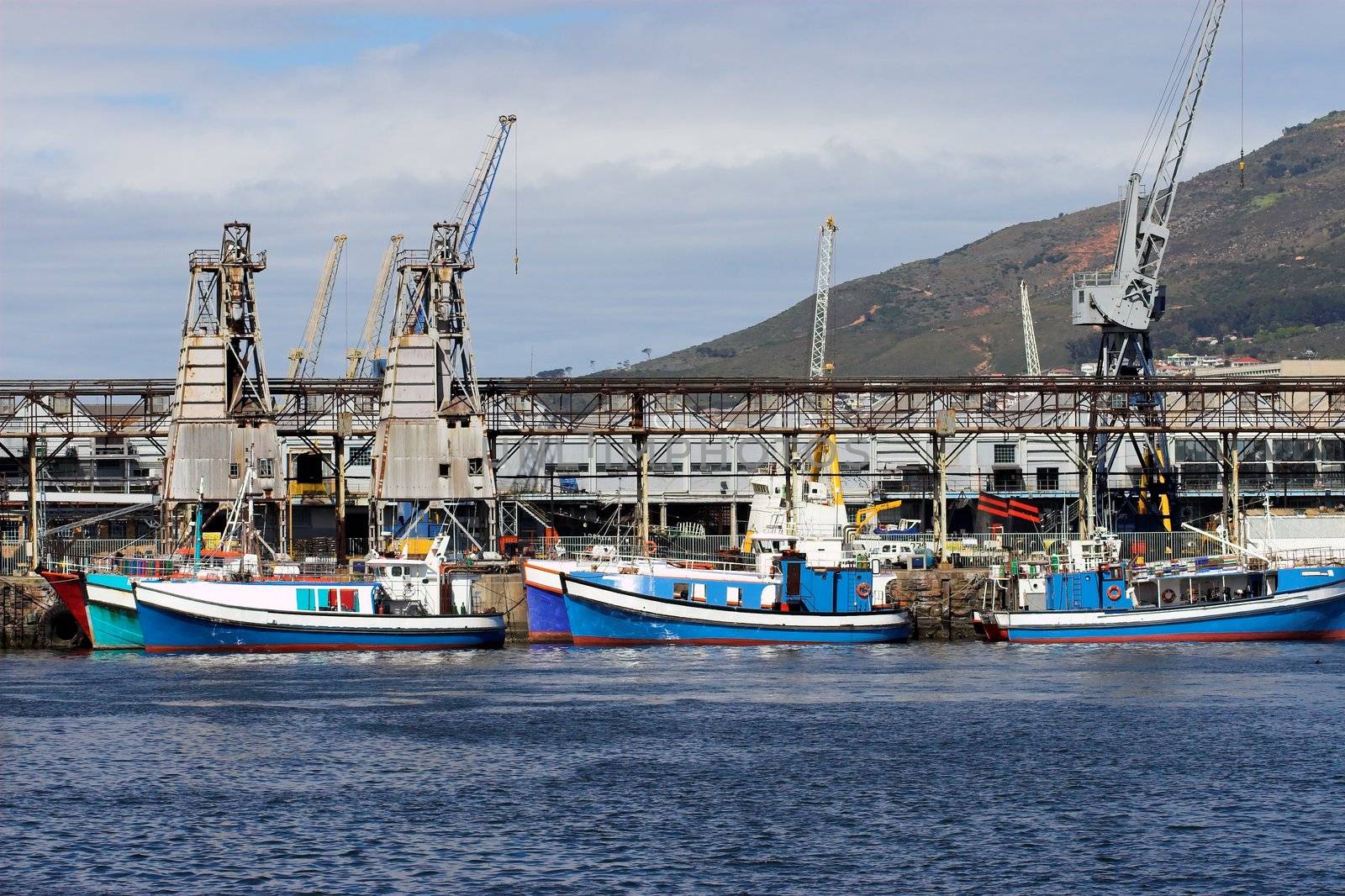 Colorful Fishing boats moored in the harbour
