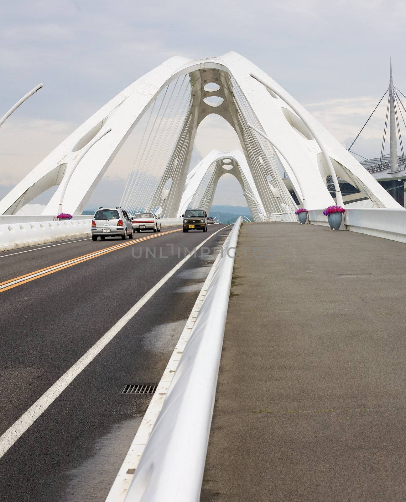 A bridge in a town called Toyota.