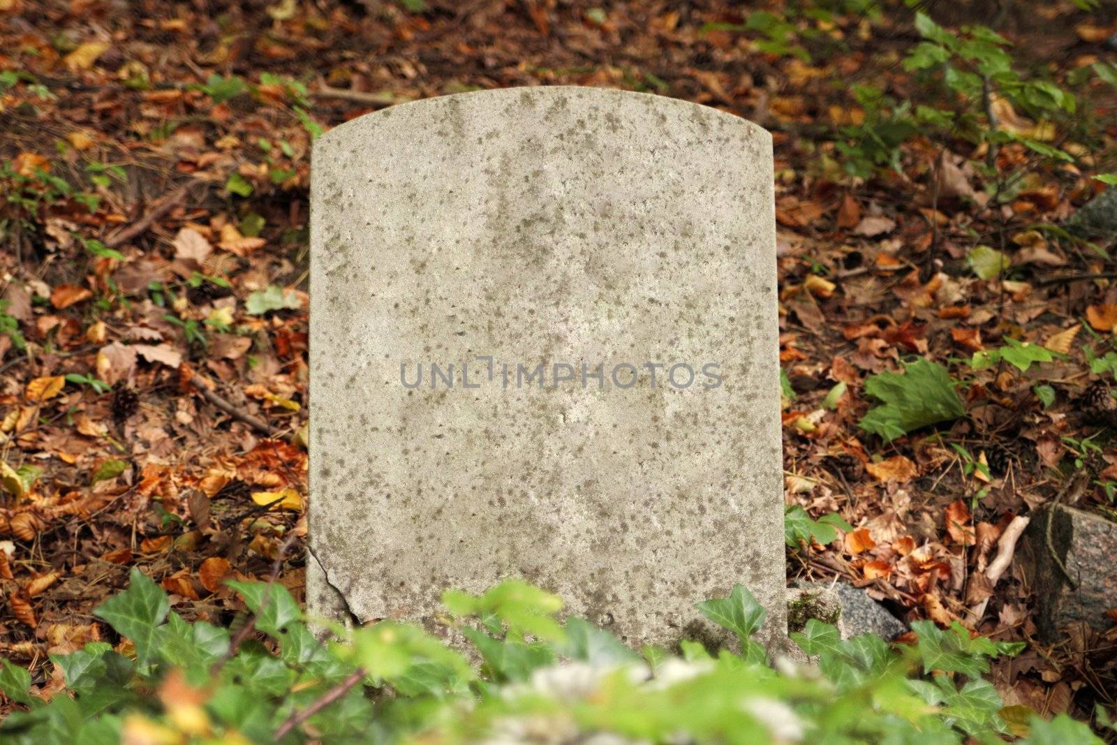 Single old grave in autumn