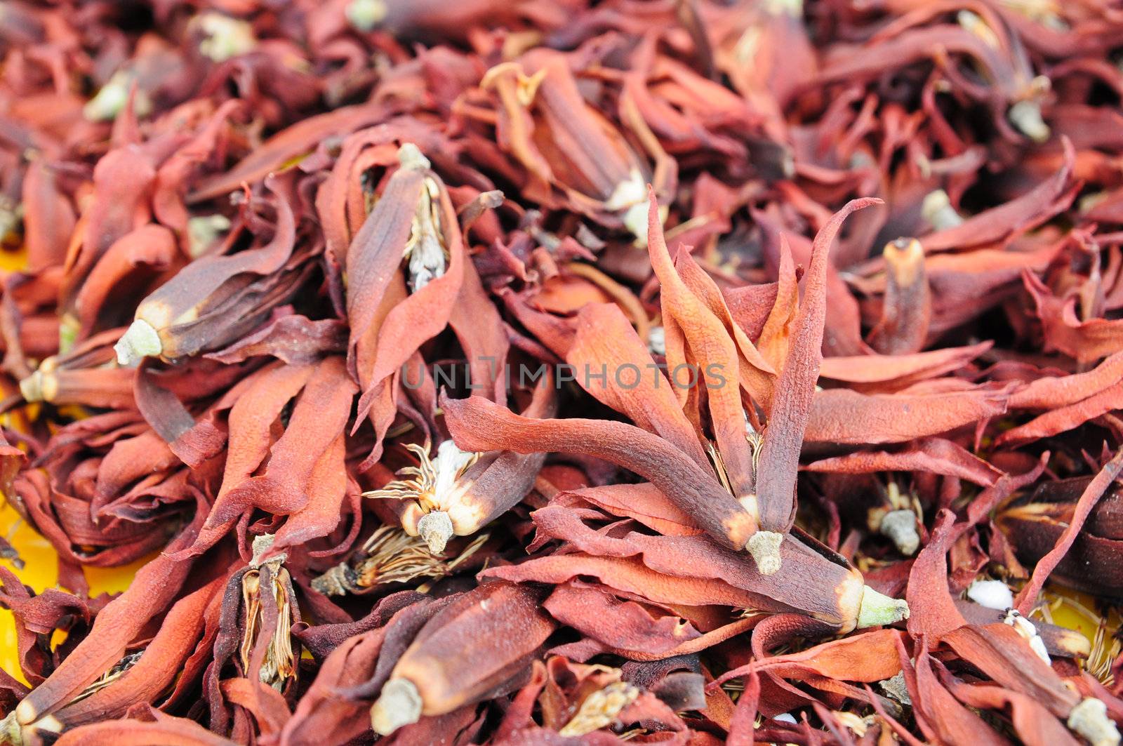 dry flower