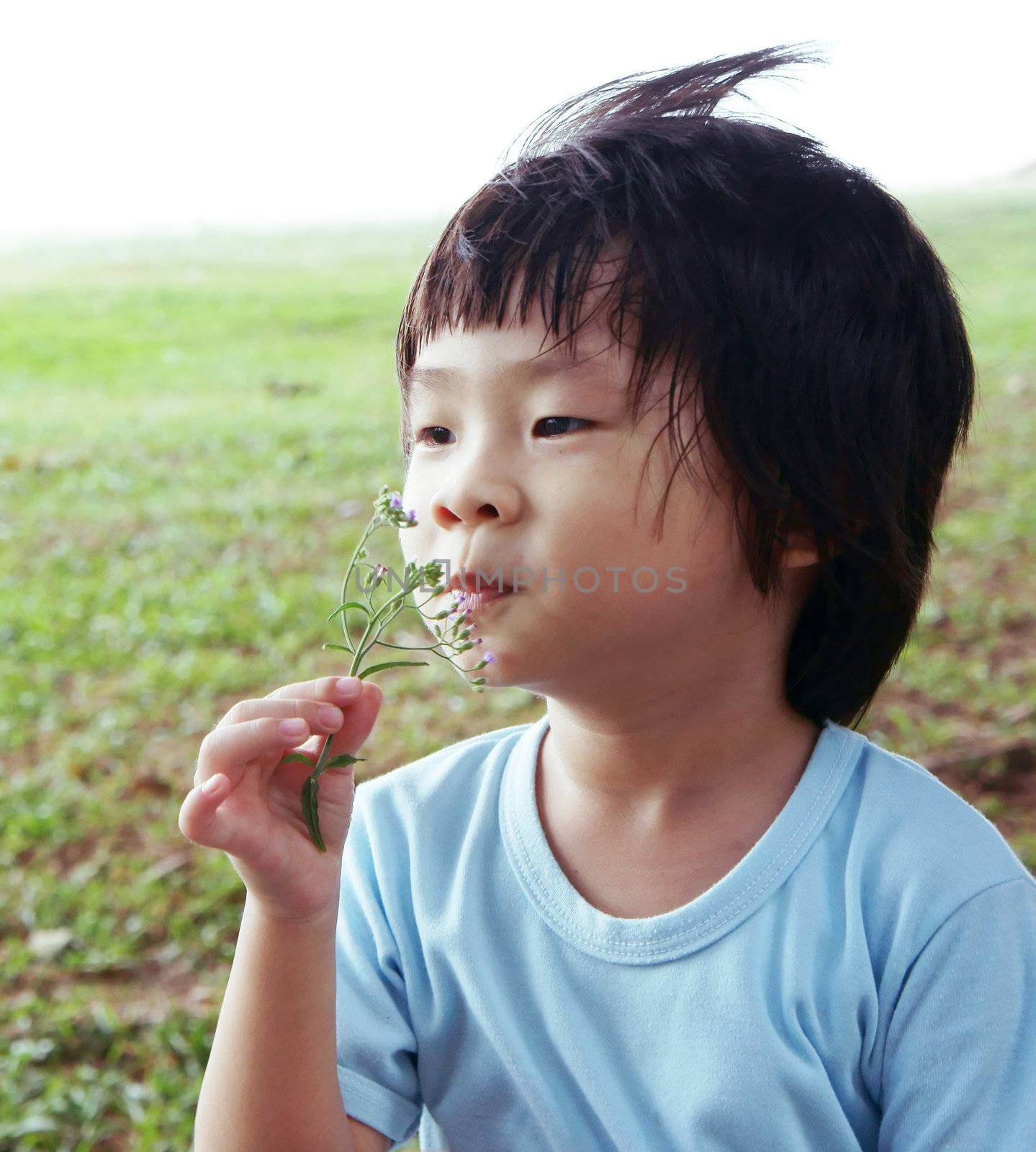 Romantic Boy smelling purple flower enjoying the breeze                 