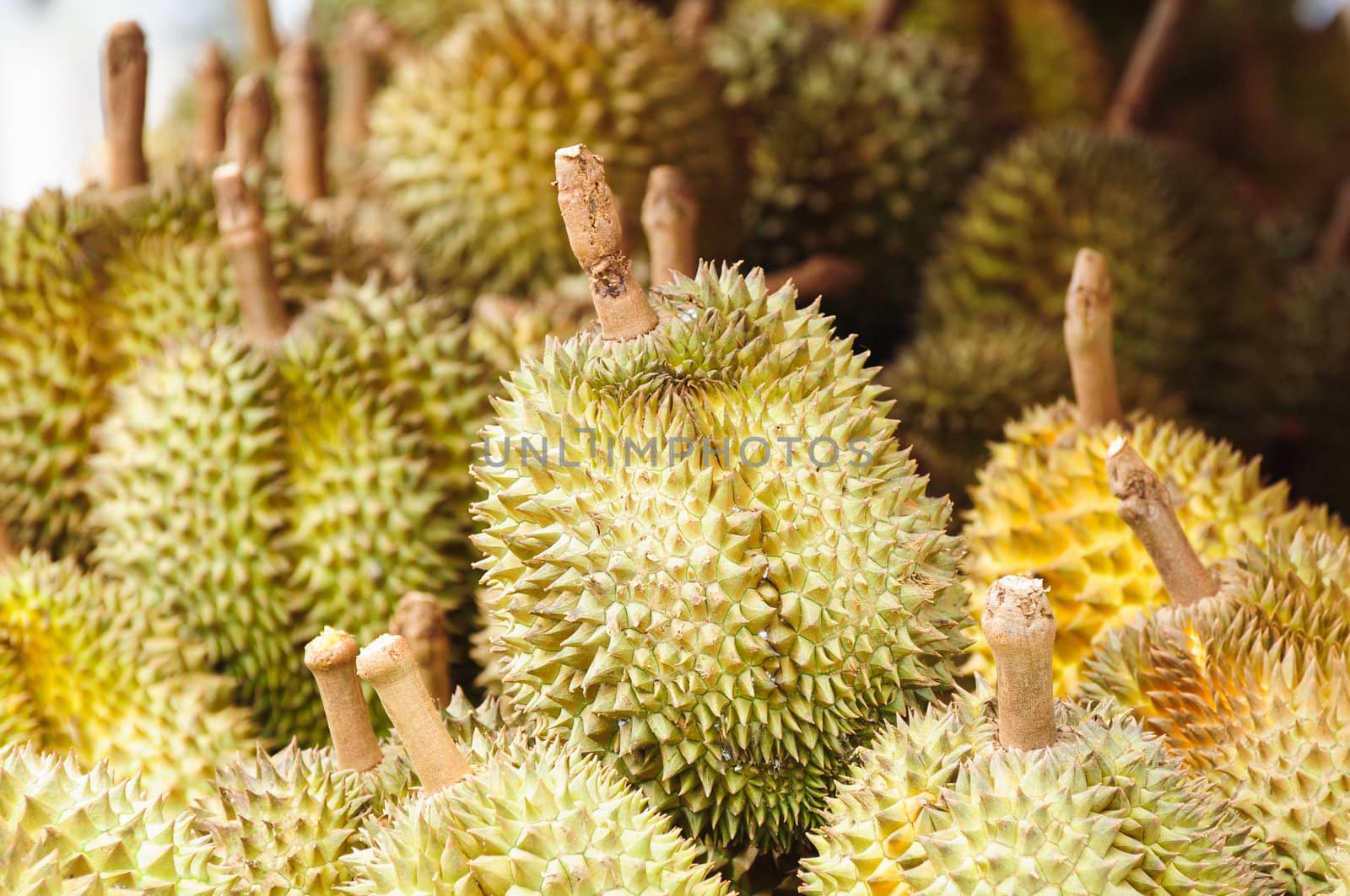Durians at market