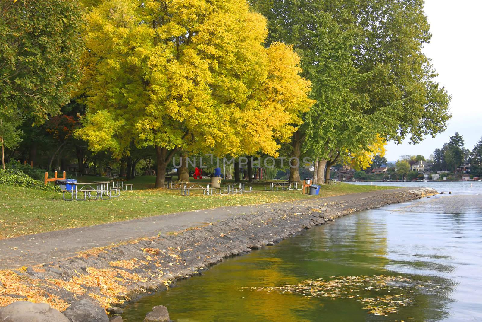 Autumn a changing season of colors in a park.