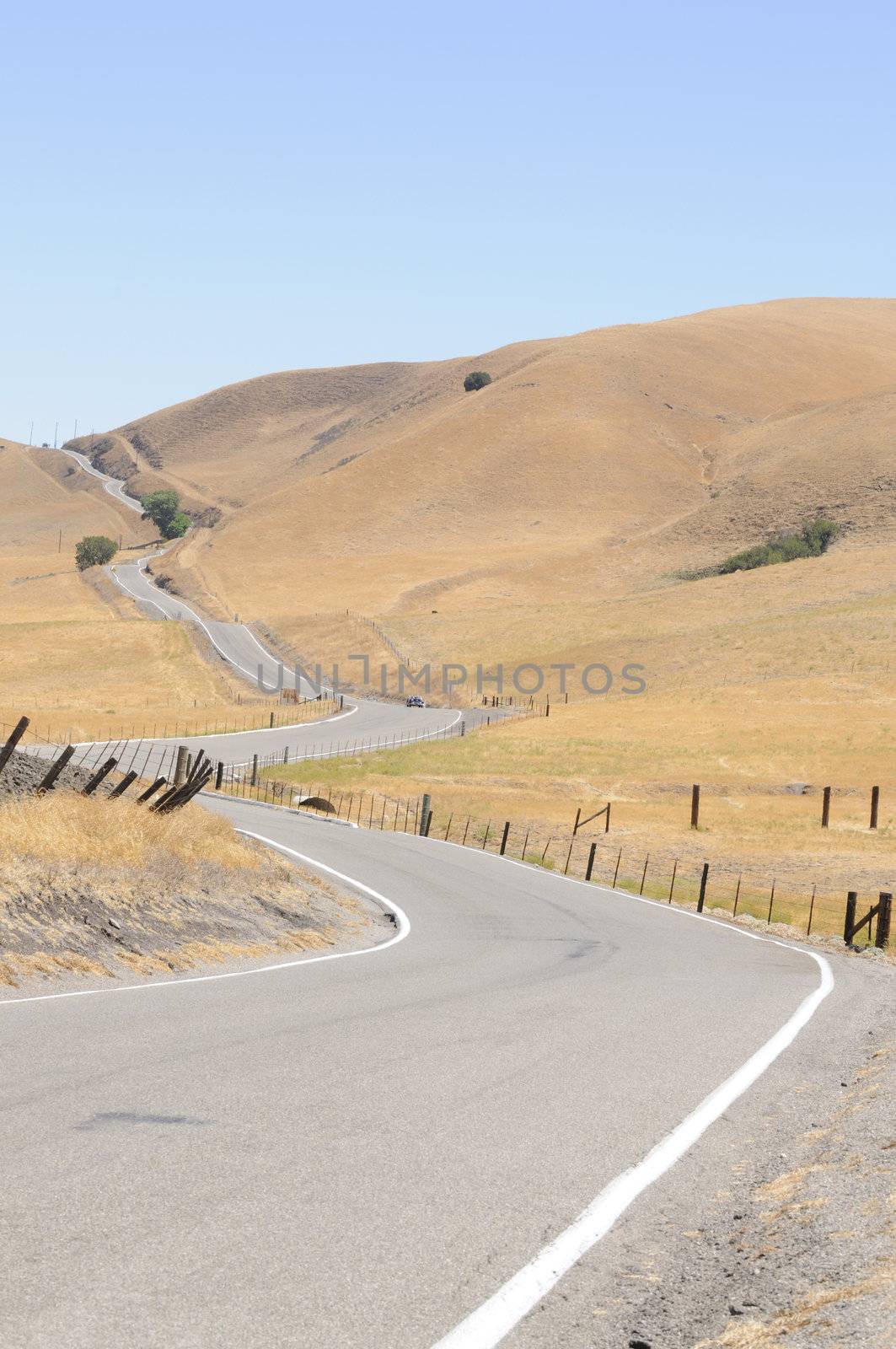 hot rod sports car negotiating a country road in California