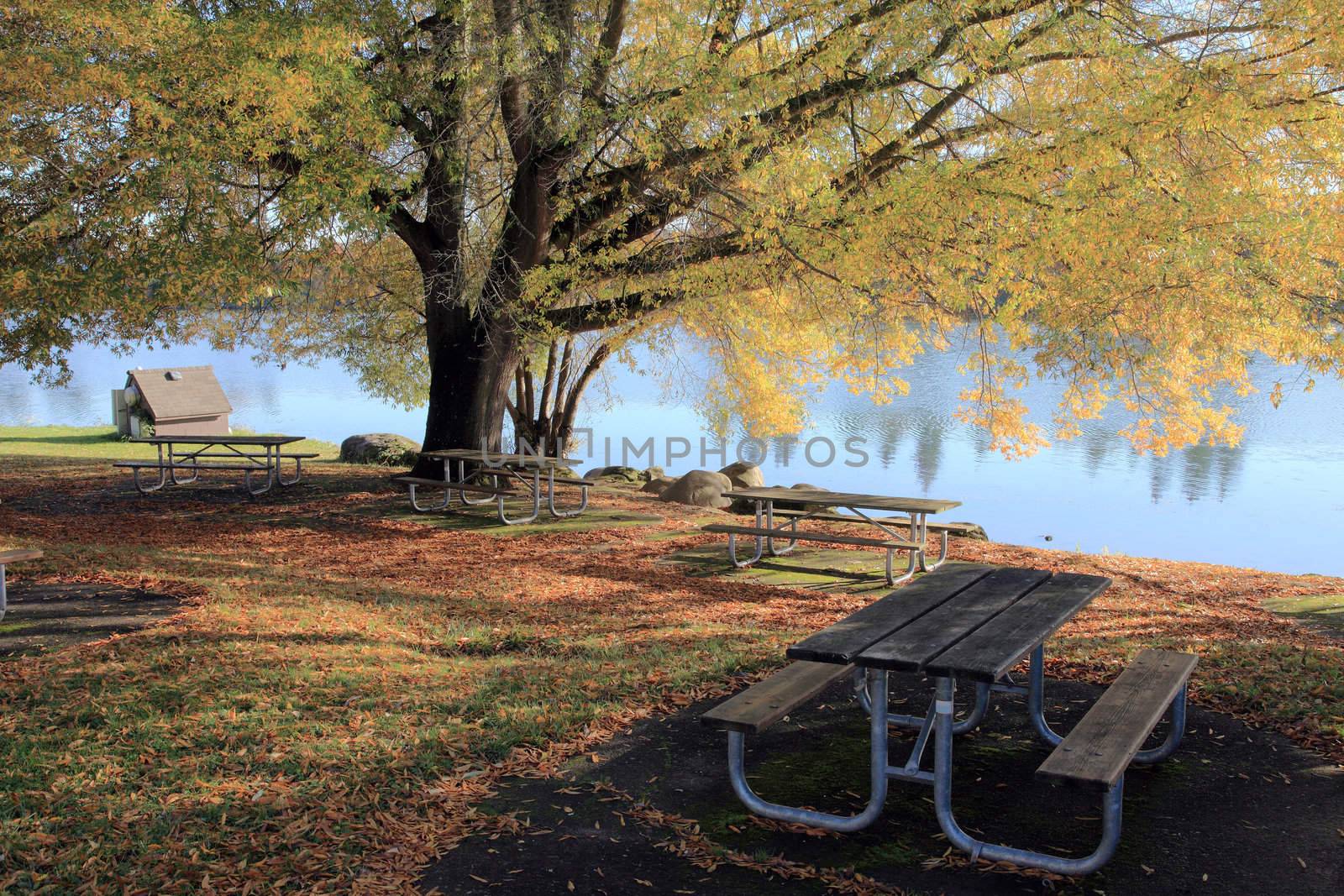 Autumn a changing season of colors in a park.