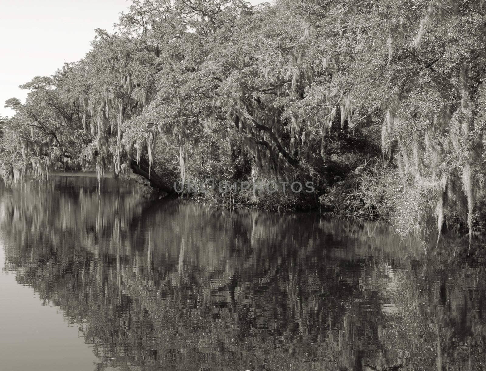 Reflections on the pond by northwoodsphoto