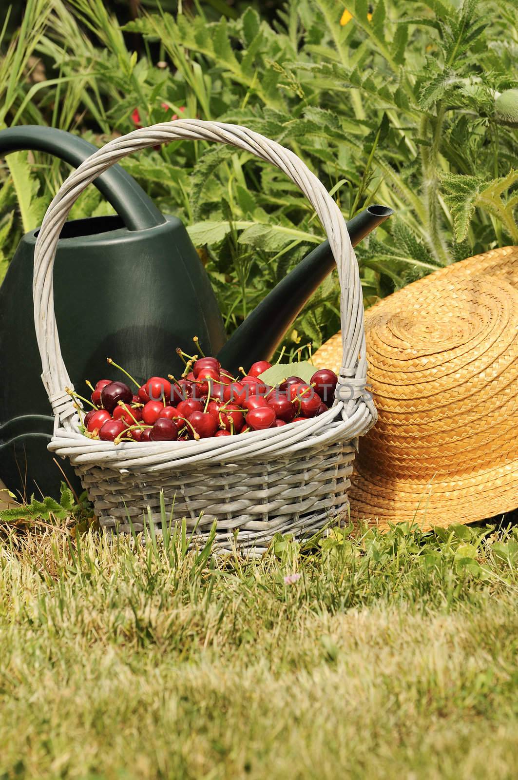 basket of cherries and straw hat in a flower garden