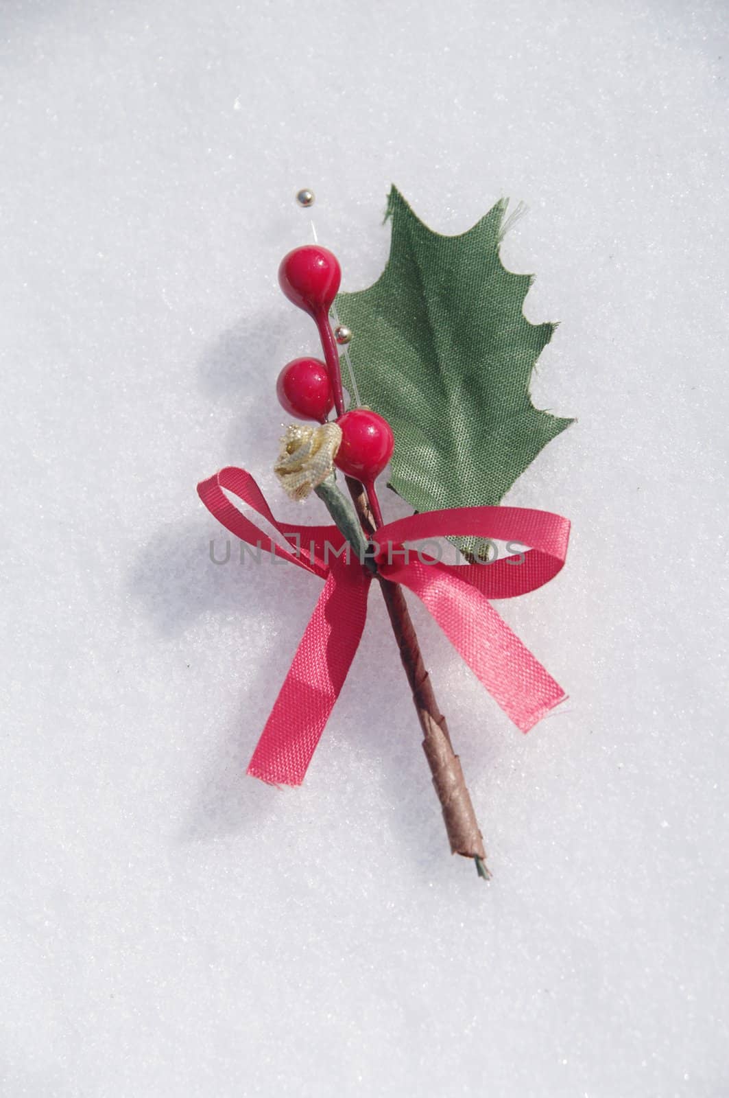 holly berry on a real snowy icy surface