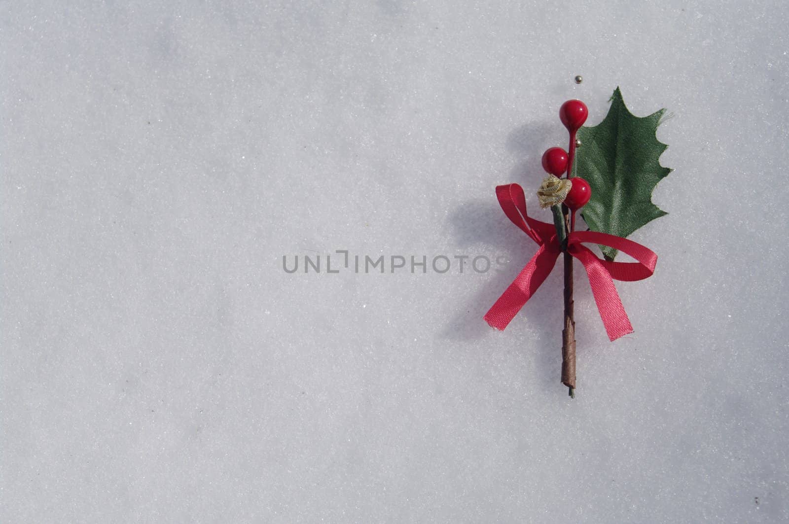 holly berry on a real snowy icy surface