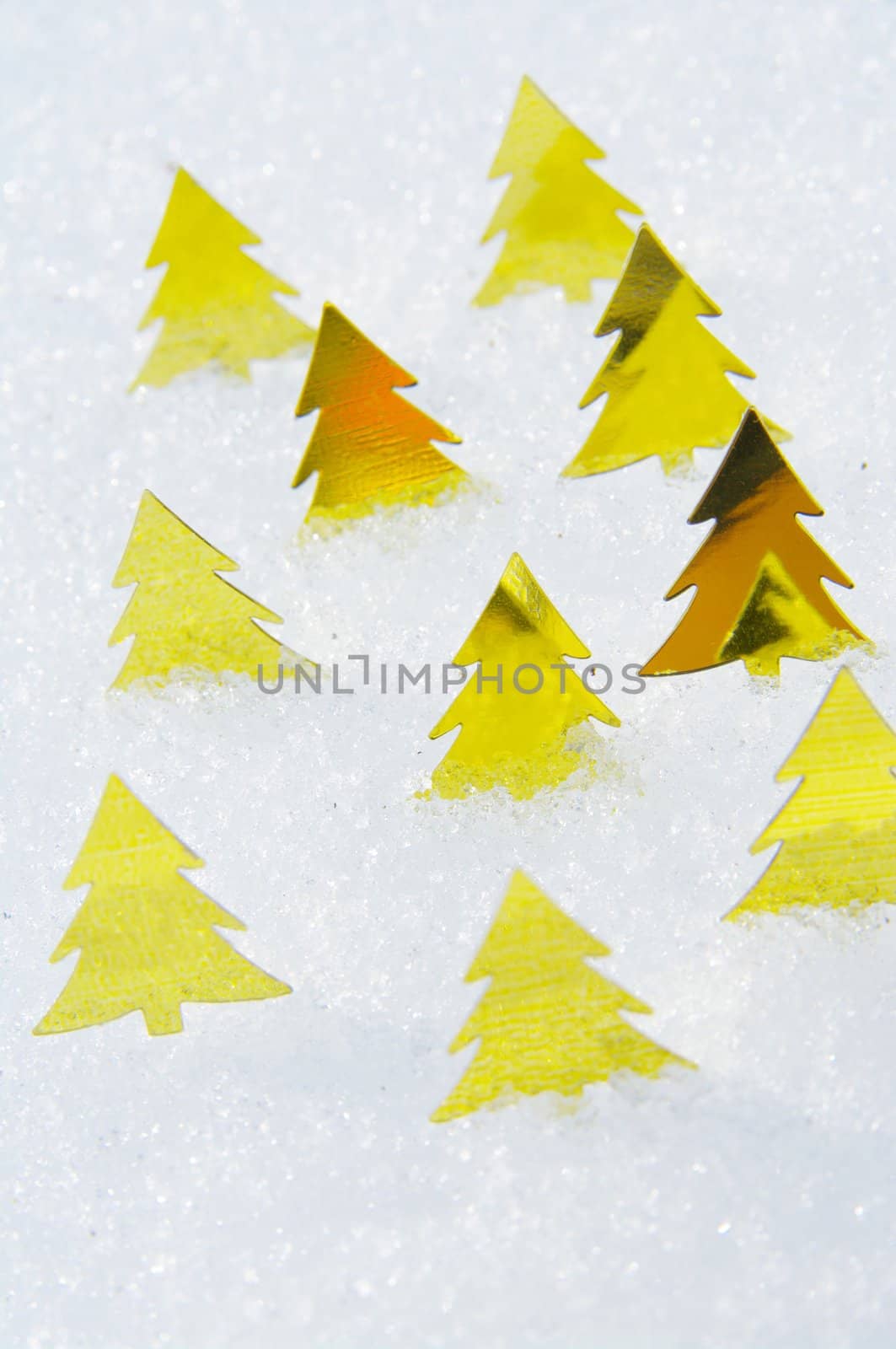 golden trees on a real snowy icy surface