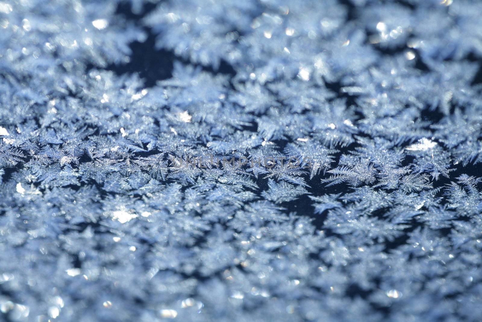 evening blue frost pattern texture on the glass