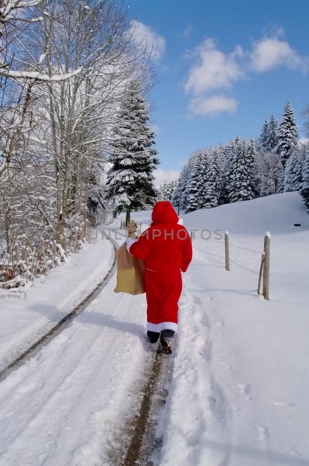 Santa Claus, Father Christmas in a beautiful winter landscape