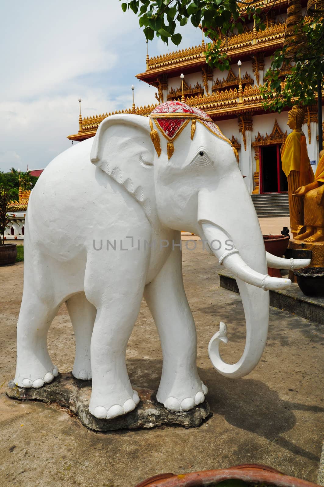 statue of white elephant