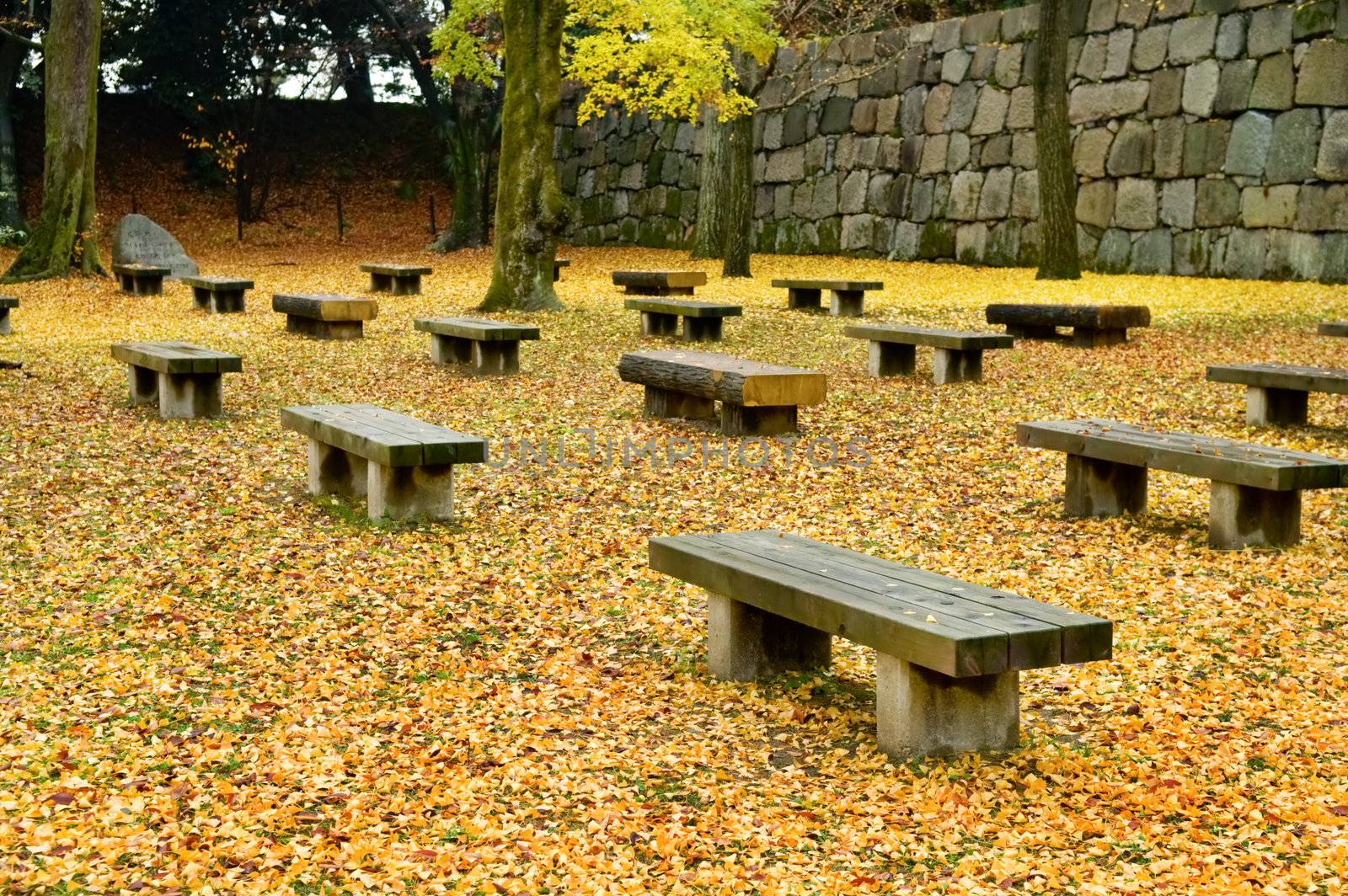 The view of seat with fallen leafs in garden