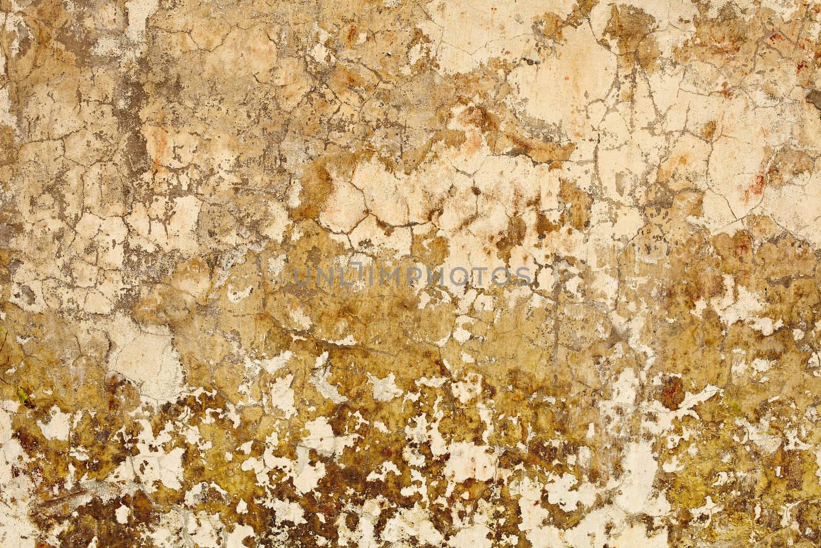 Old dirty nasty plaster on the wall surface