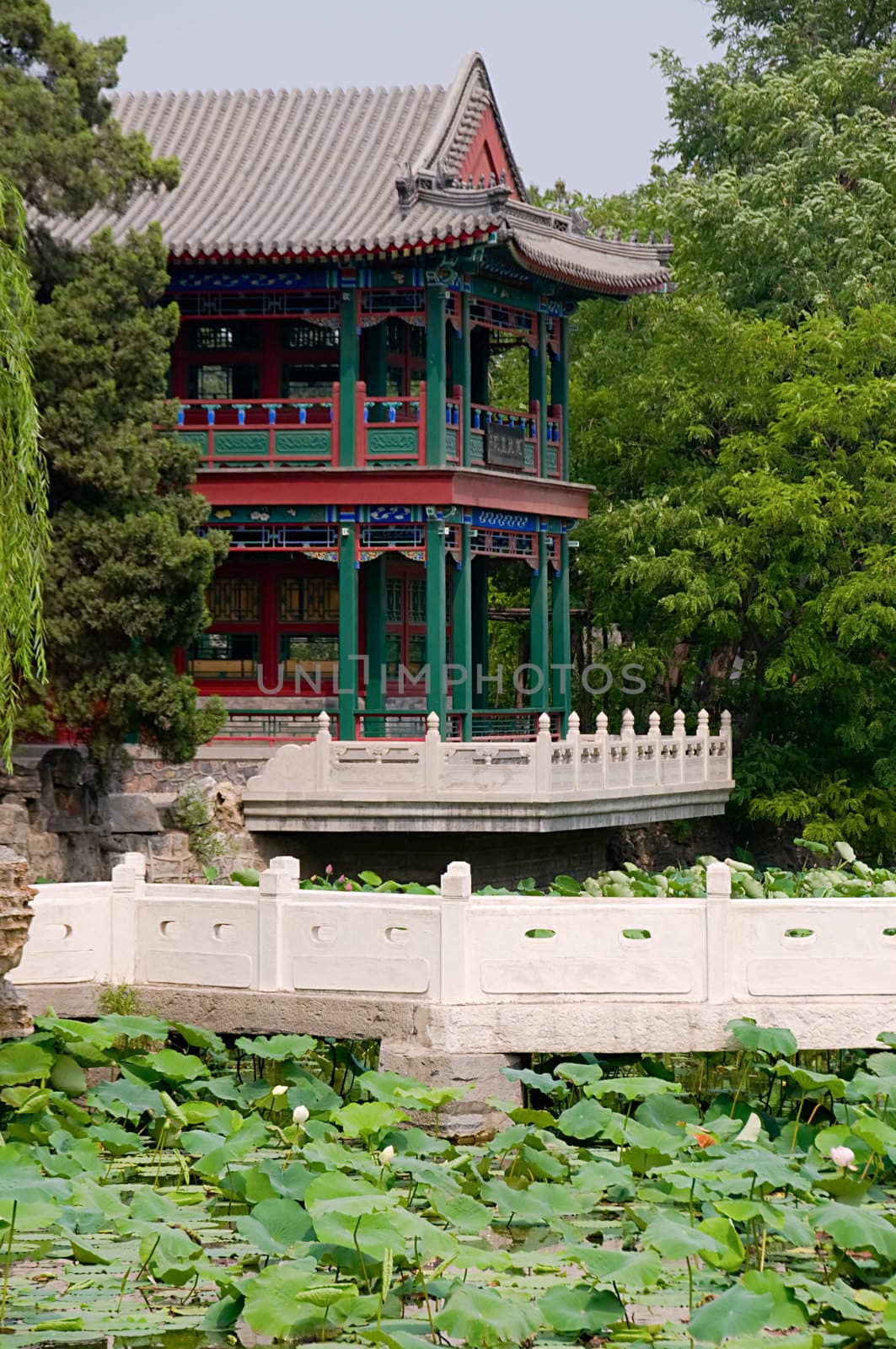 The panorama of lotus pond, garden with pavilion