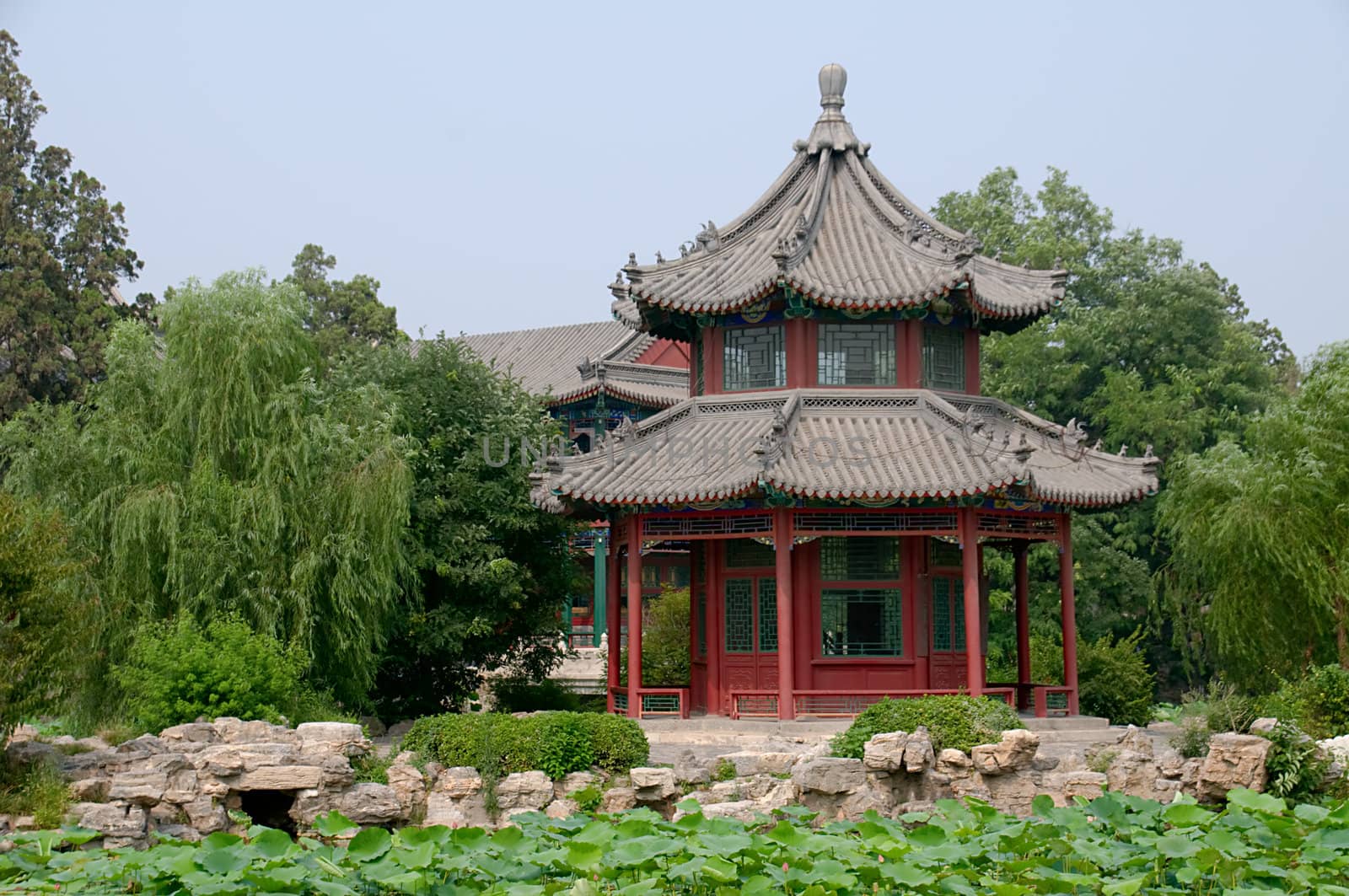 The panorama of lotus pond, garden with pavilion