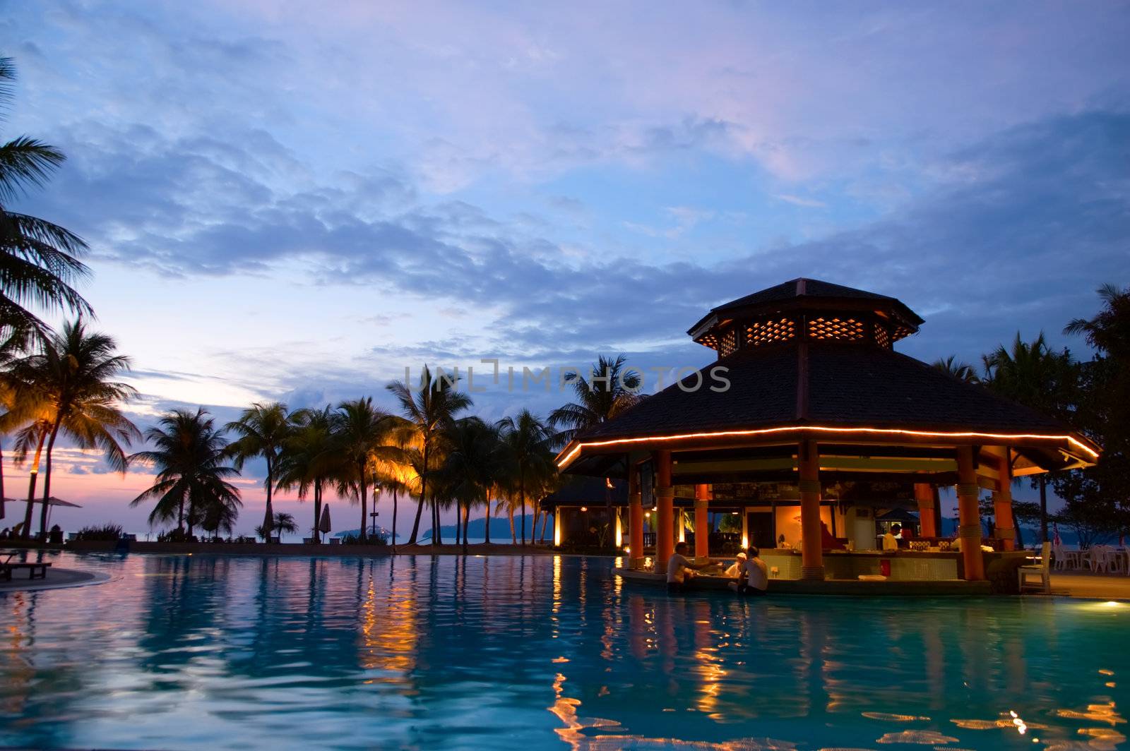 Evening in tropical hotel, silhouette of palm tree and swimming pool