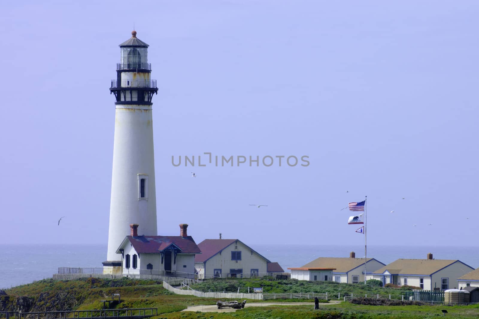 Pigeon Point Lighthouse by jeffbanke
