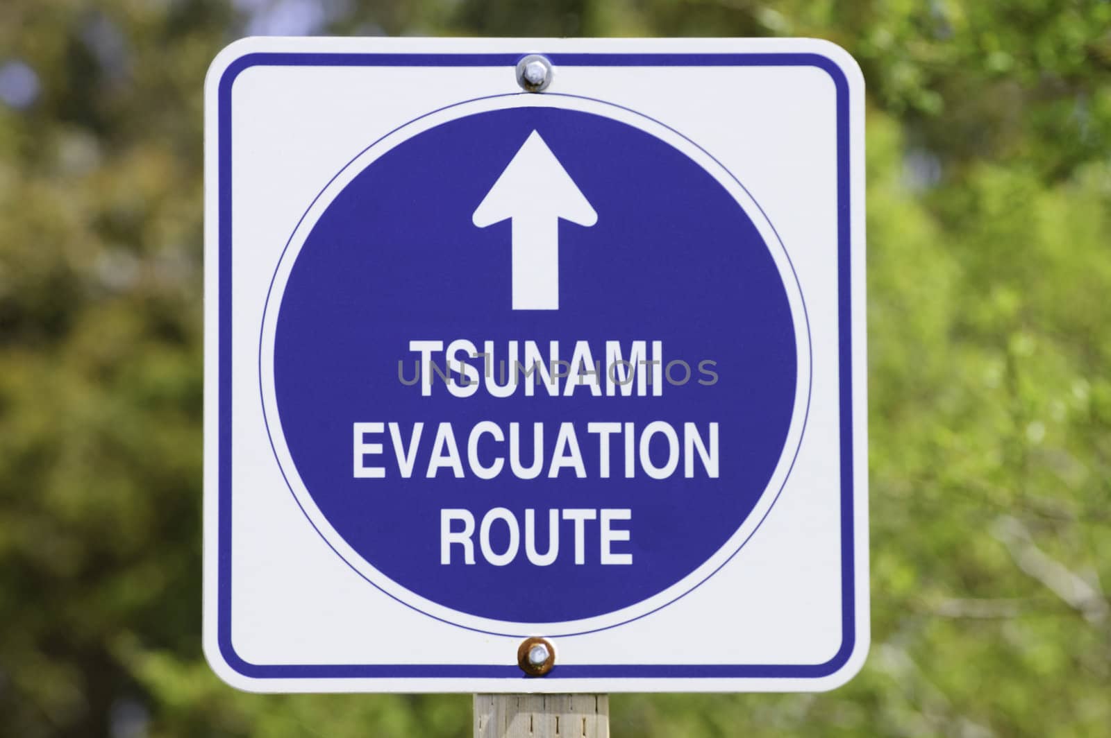Tsunami roadsign near Pescadero, California