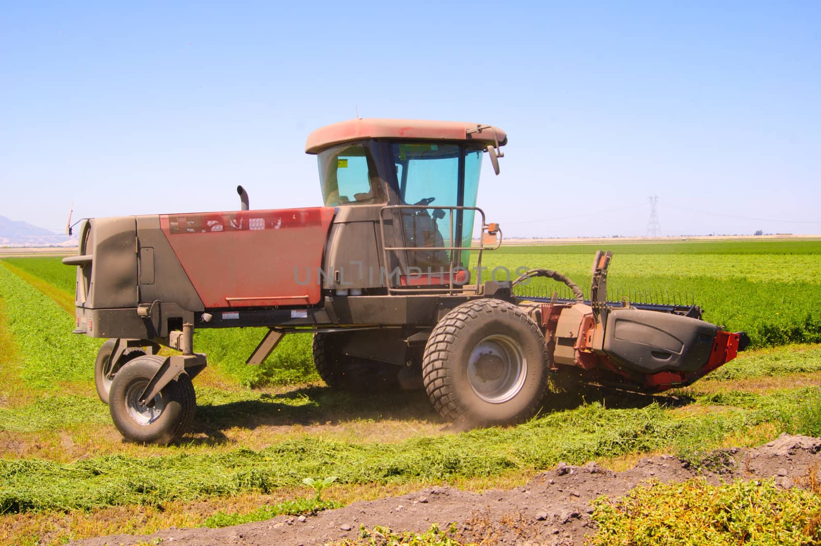 Combine harvester cutting a field of alfalfa