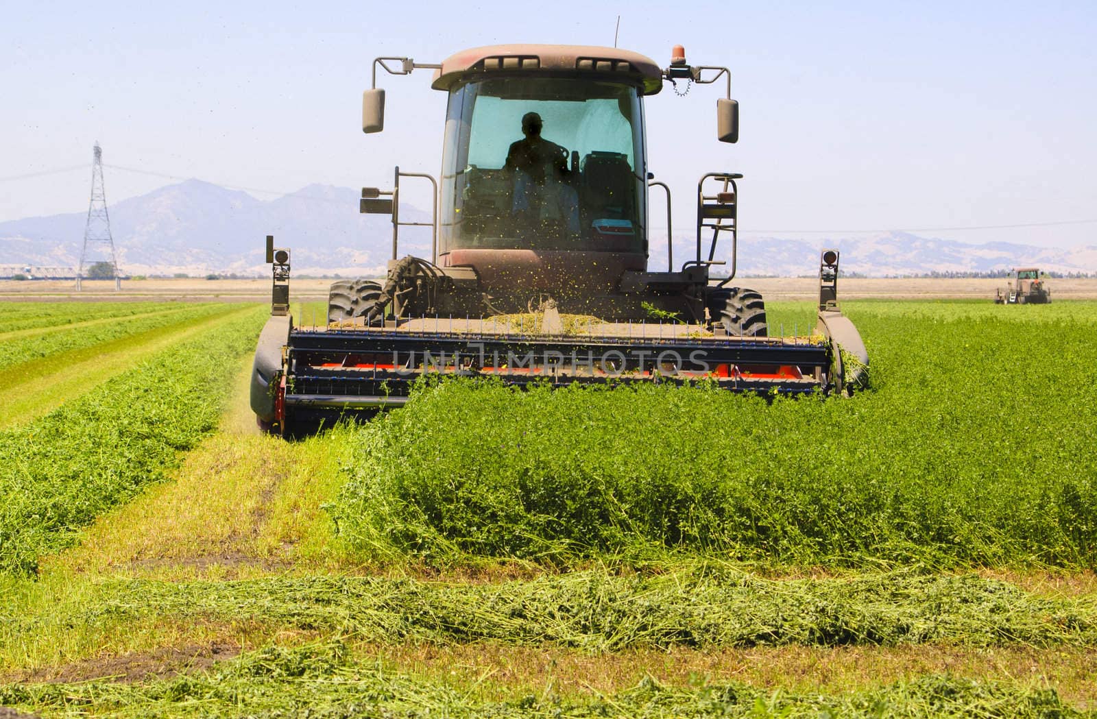 Combine harvester cutting a field of alfalfa