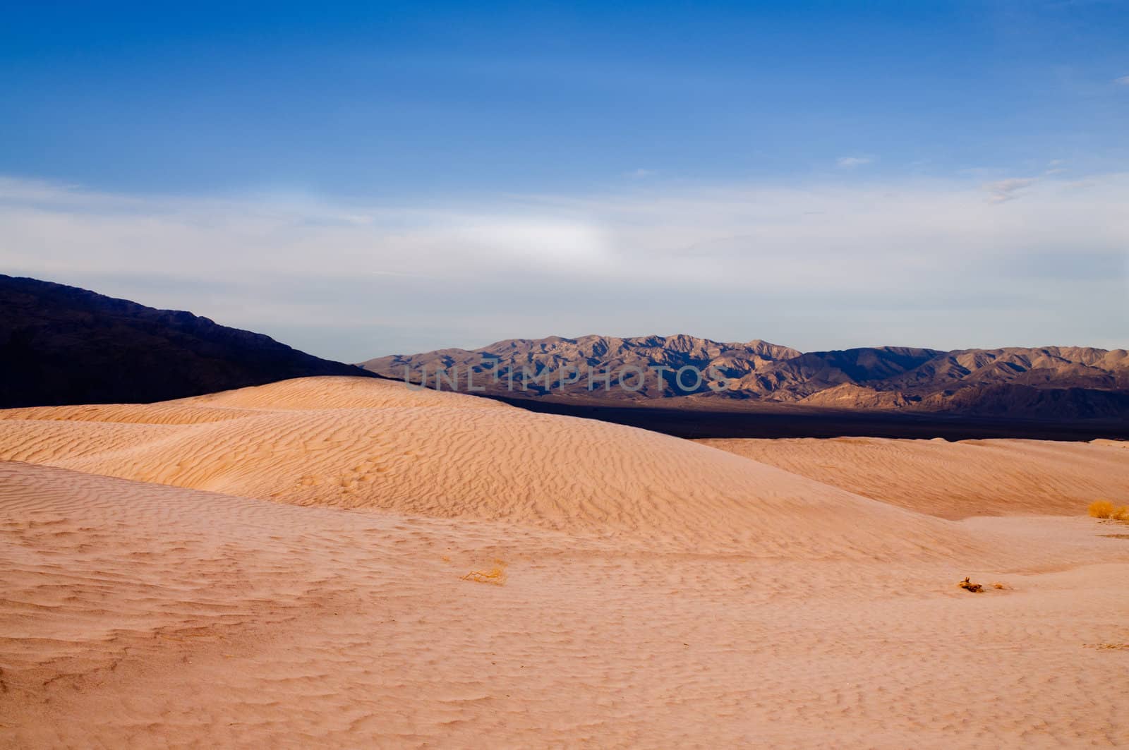 Dunes in Death Valley by jeffbanke