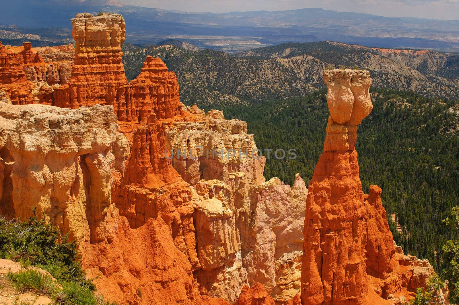 Vista of Bryce Canyon National Park in Utah