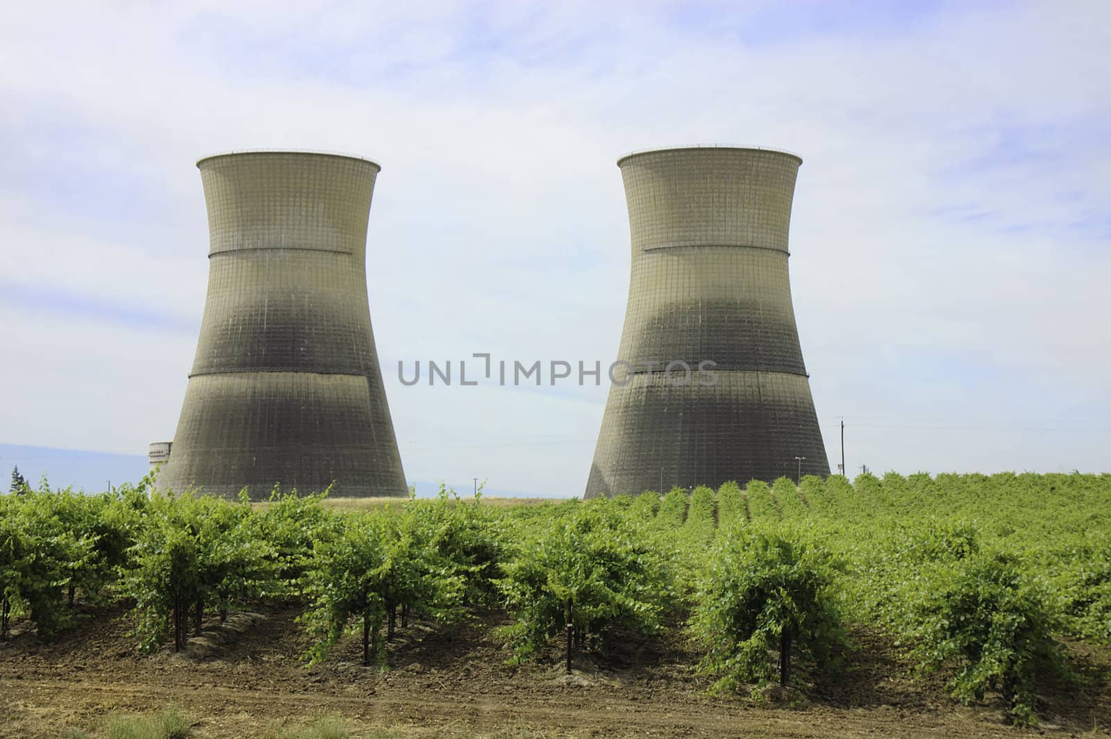 Nuclear power plant in the vineyards of california