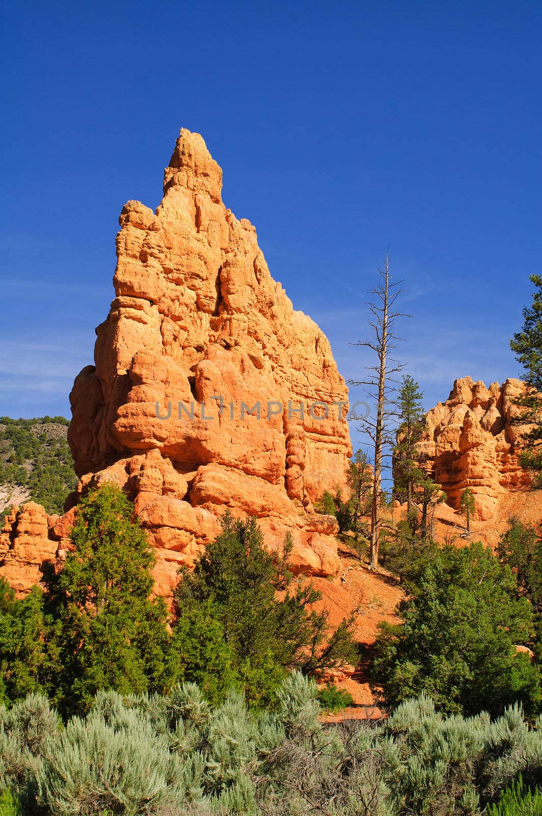 Sandstone outcrop in Cedar Breaks national park in Utah