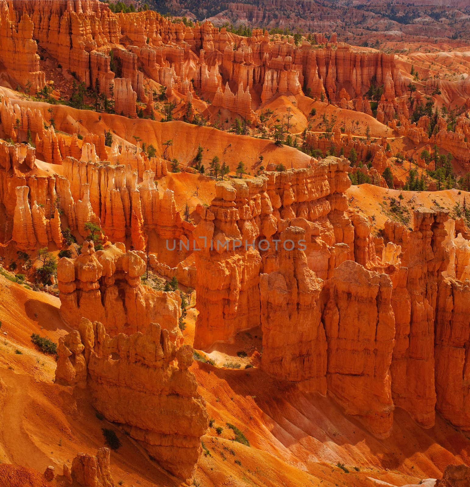 view of the hoodoo's in Bryce Canyon, Utah