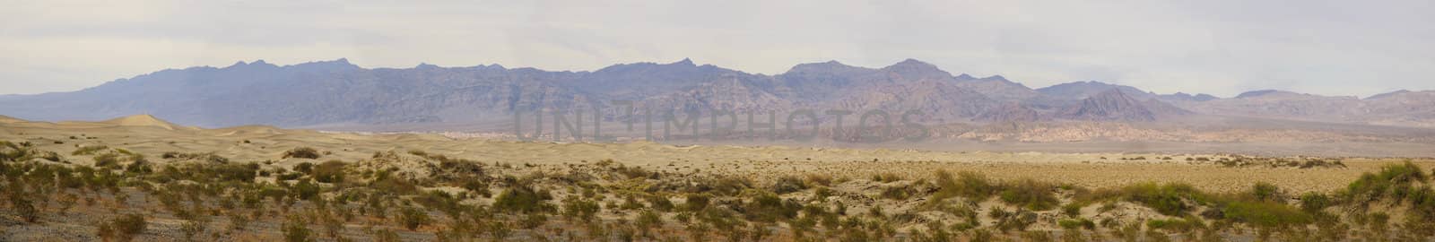 desert scenic of Death Valley panorama near mesquite dunes