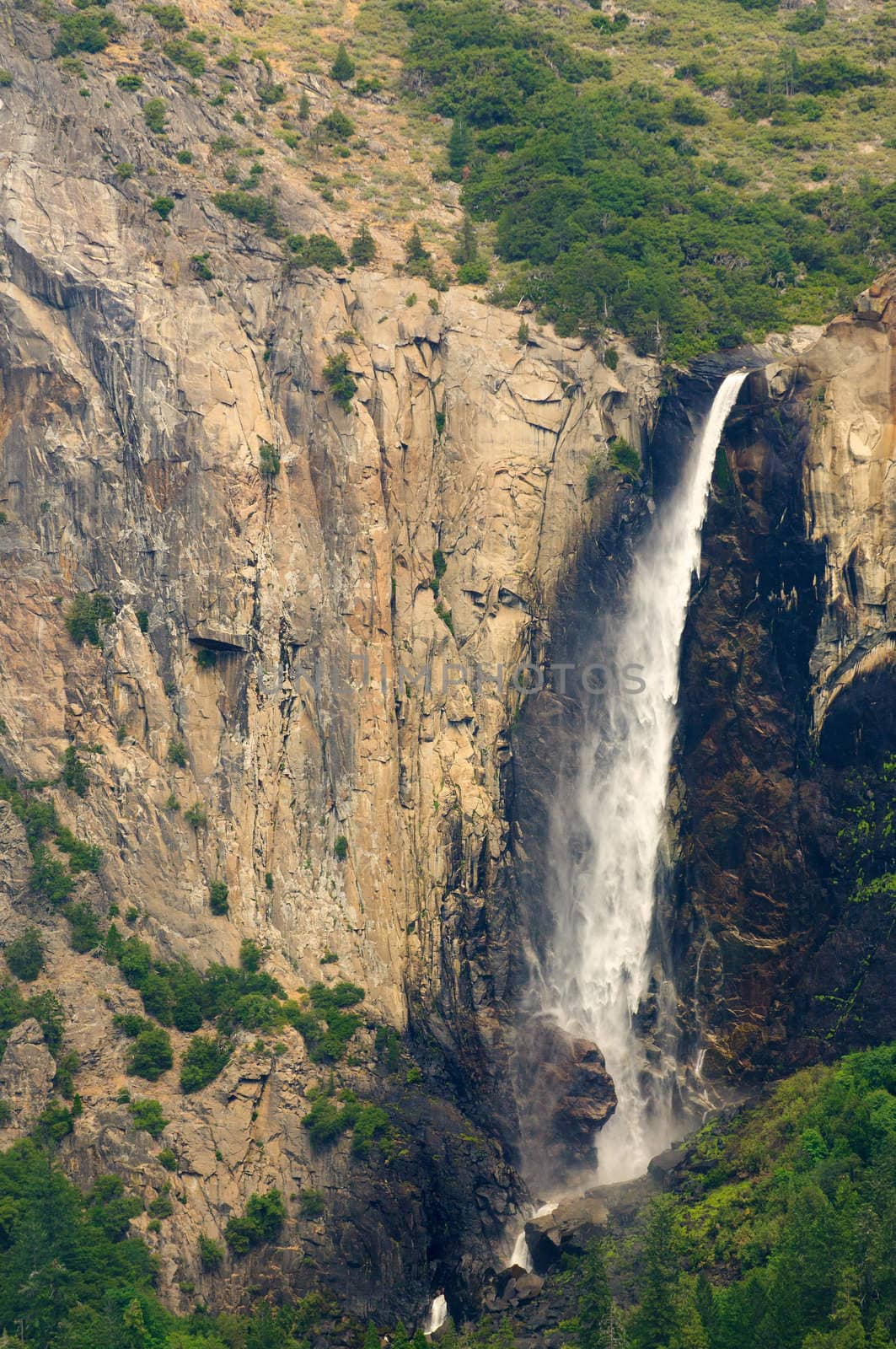 view of bridleveil falls in Yosemite national Park, California