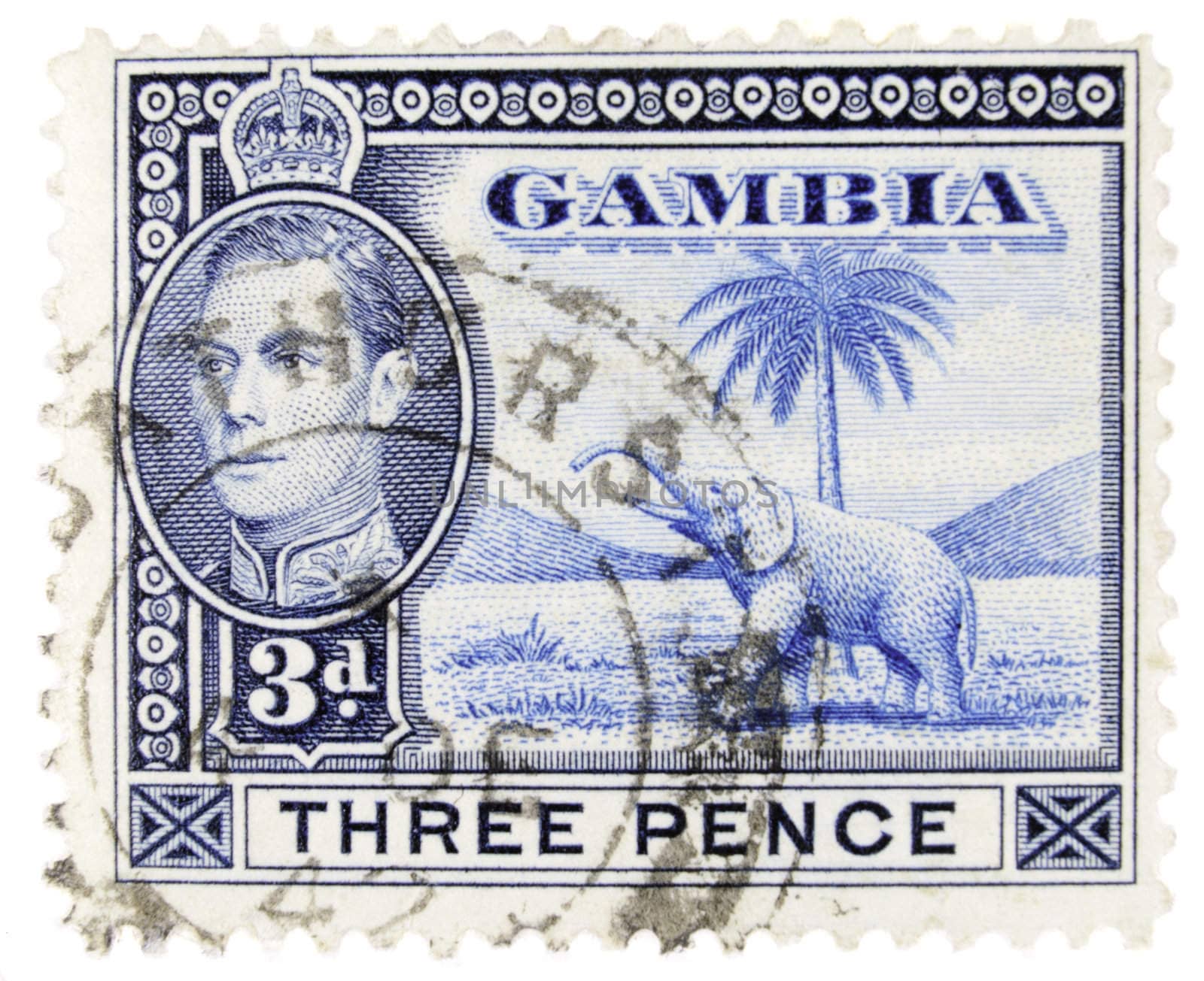 Gambia - Circa 1950 : A vintage Gambian postage stamp image of an elephant beside a palm tree and inset of King George, and a face value of 3 pence, series circa 1950