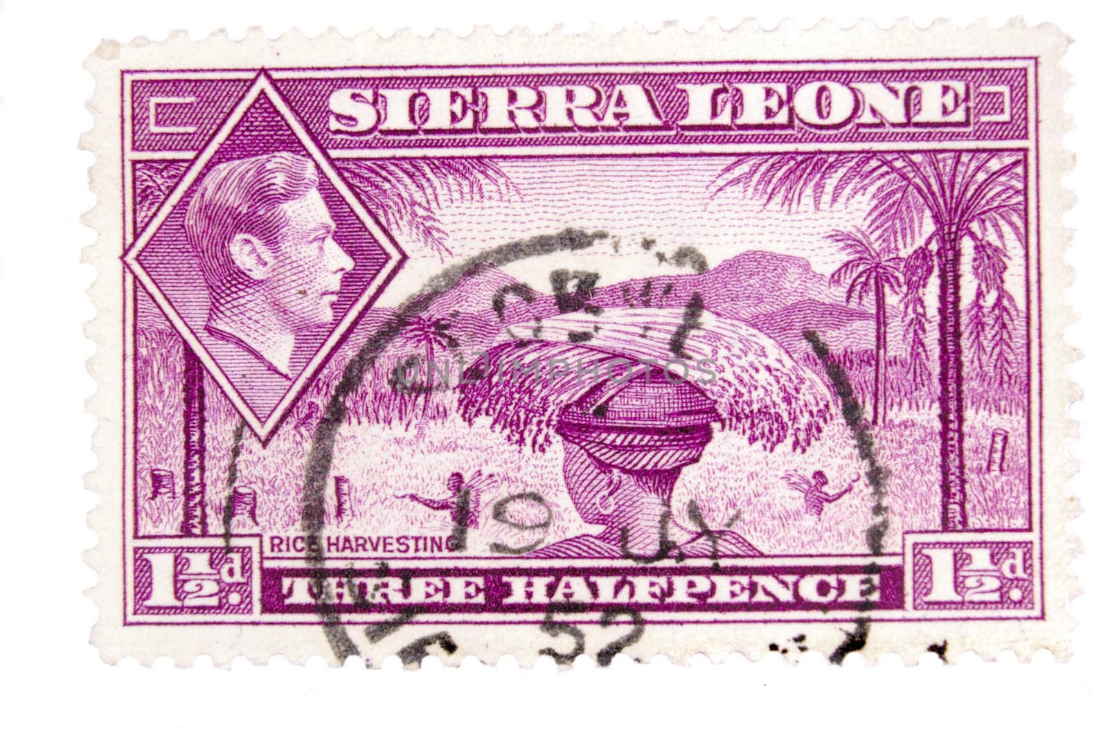 Canada - Circa 1952 : A vintage Sierra Leone postage stamp image of a woman carrying rice on her head with an inset of King George, and value of one and a half pence, series circa 1952