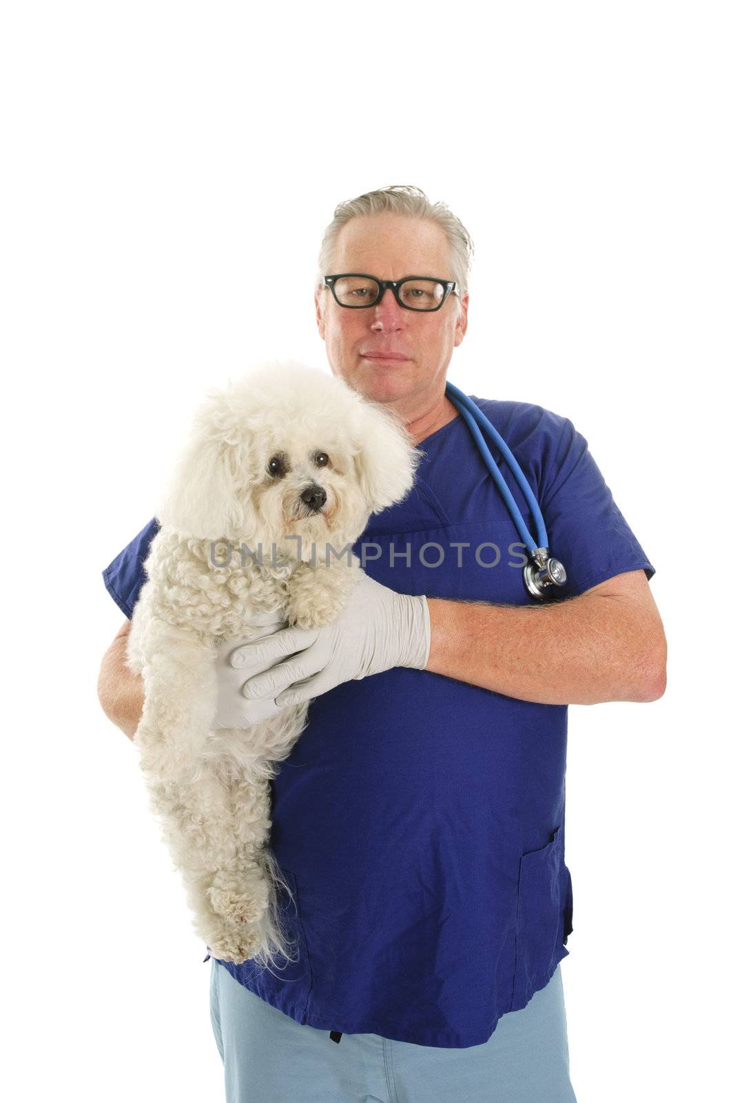 vet with Bichon Frise by jeffbanke