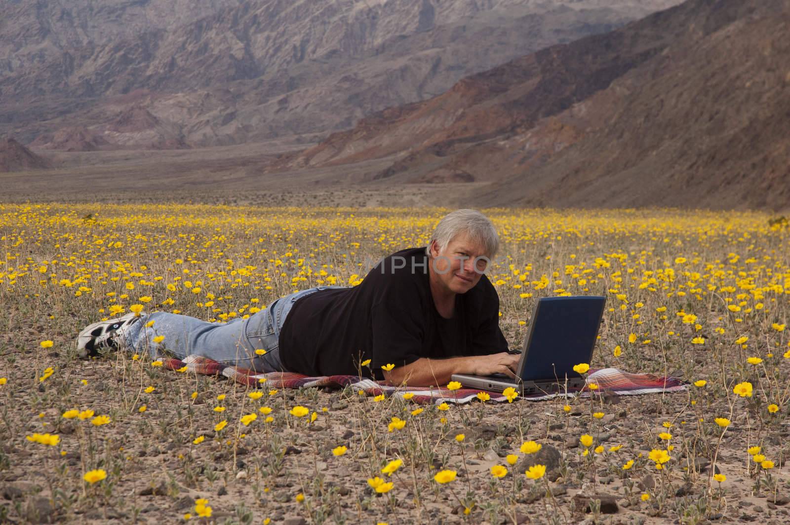 Botanist making notes on his computer, amid the desert spring flowers in  Death Valley, California