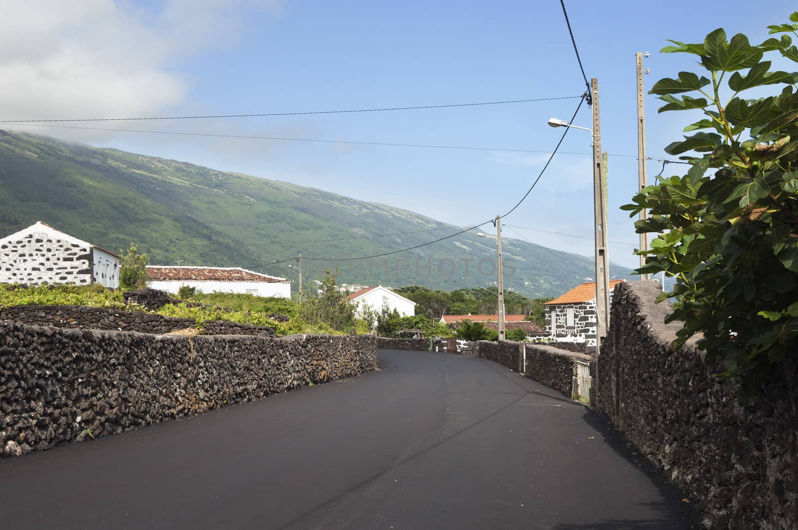 Country road in Pico island, Azores